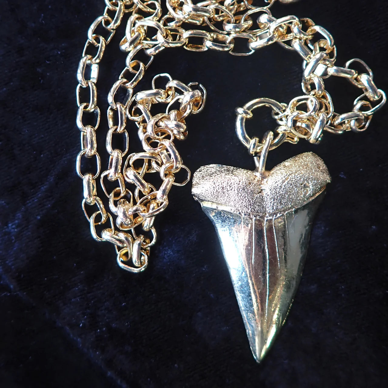 Allison Daniel Designs Marni Shark Tooth Necklace