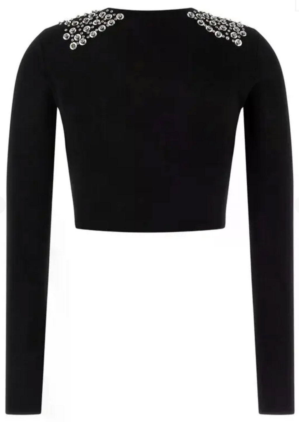 Pinko Embellished Crewneck Blouse