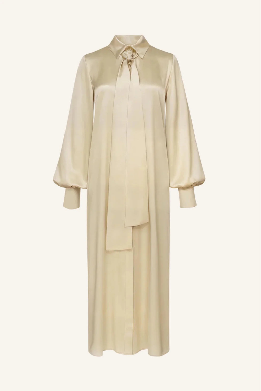 Aiste Hong Tie-Neck Shirt Dress