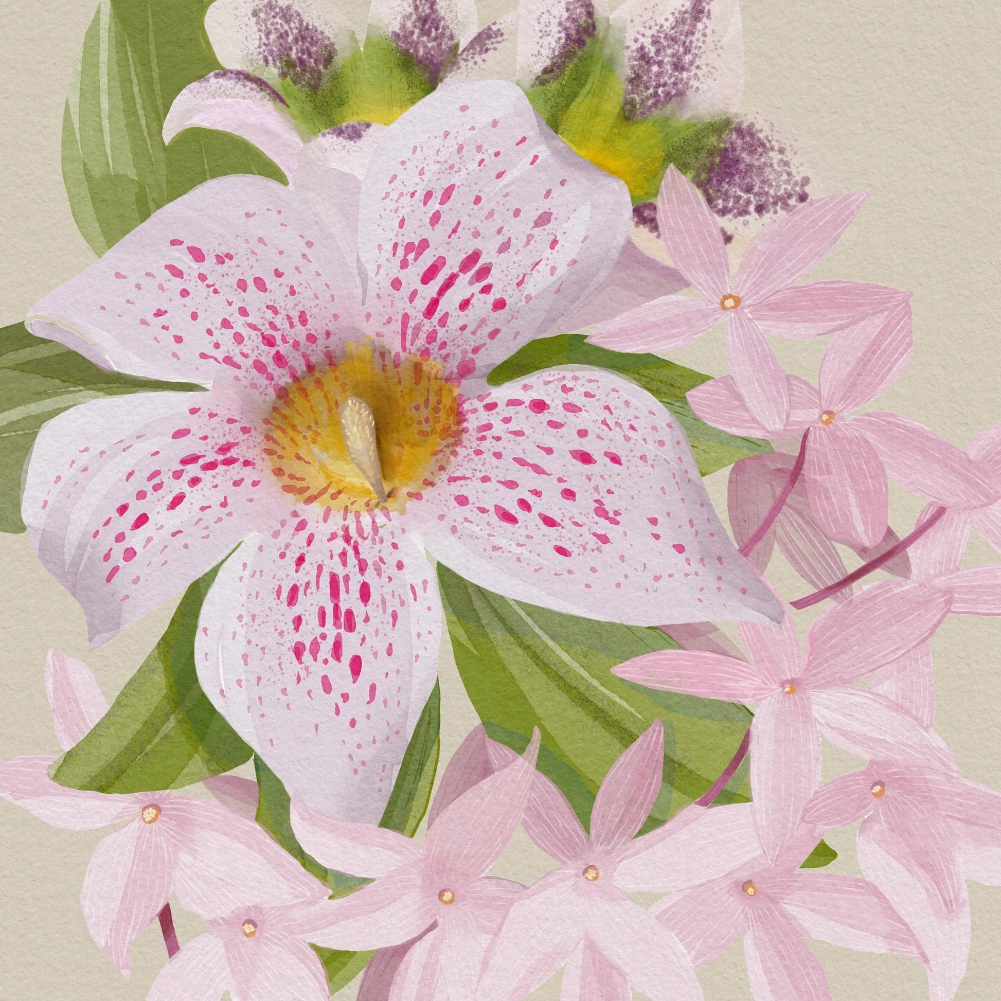 COCO DE MER FRAGRANCE CO. FANM 75mL