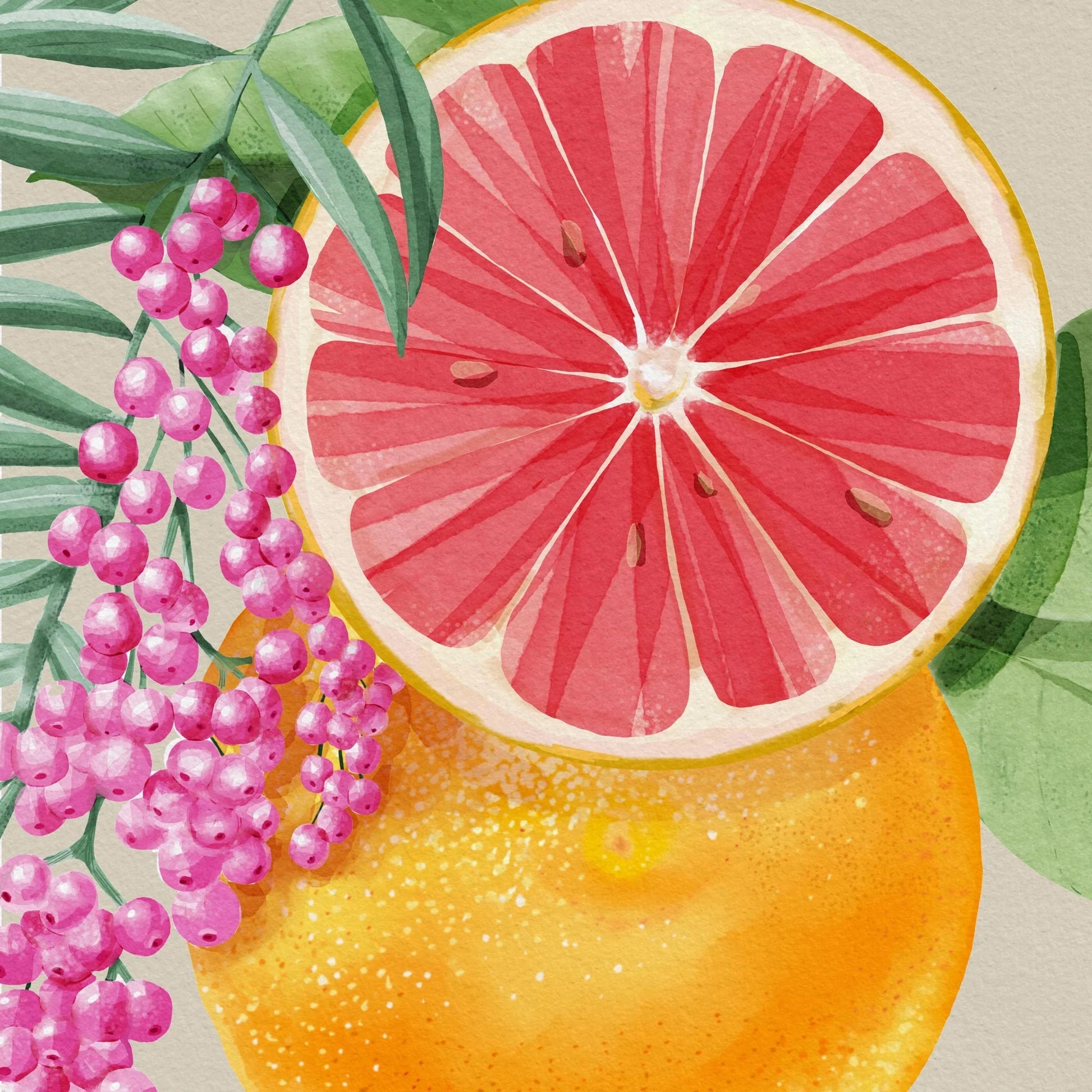 COCO DE MER FRAGRANCE CO. SOVAZ 50mL