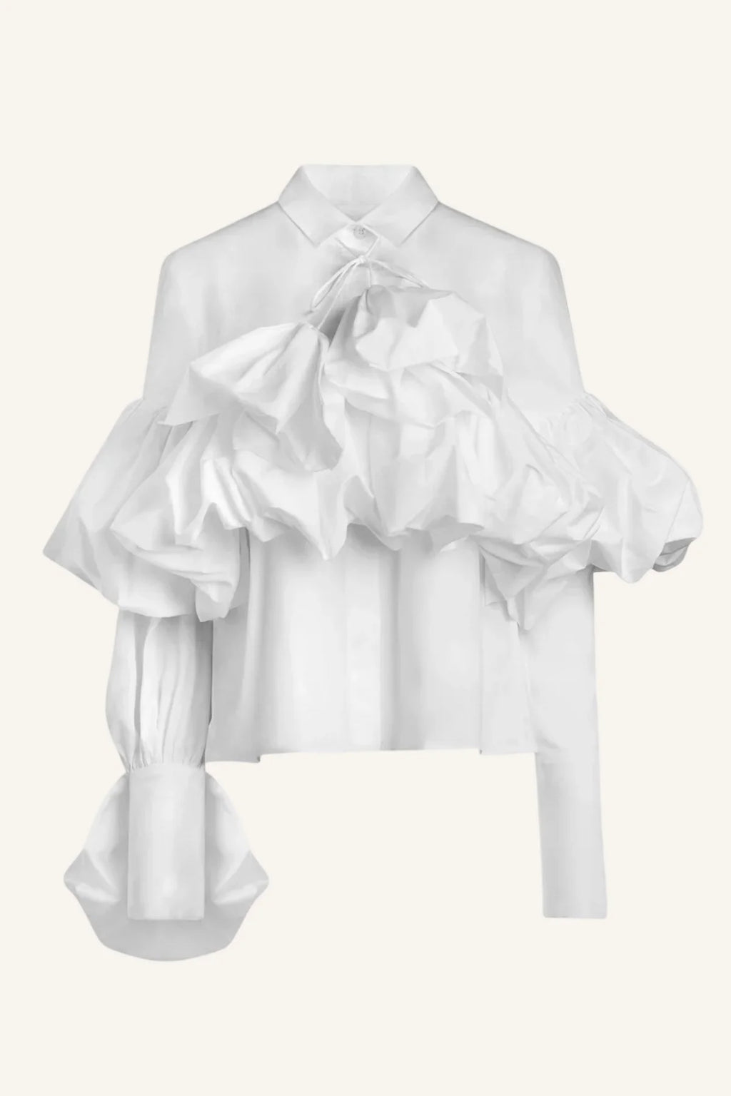 Aiste Hong Gathered Tie-Neck Shirt